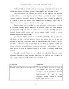 Expertiză contabilă în cauze civile și penale - Pagina 2