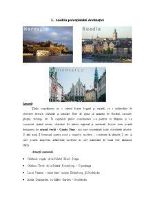 Managementul turismului - agenția de turism Royal Tour - Pagina 5