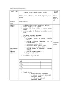 Proiecte de lecție - analiză contabilă - Pagina 2