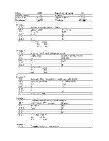 Proiecte de lecție - analiză contabilă - Pagina 5