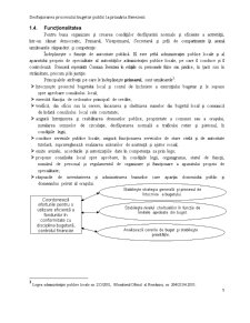 Desfașurarea Procesului Bugetar Public la Primăria Berezeni - Pagina 5