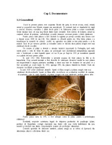 Procesul tehnologic de fabricare a pâinii negre - Pagina 1
