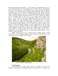 Bazinul Hidrografic Crișul Repede - Pagina 5
