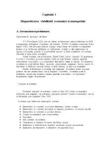 Diagnosticarea viabilității economice și manageriale - Pagina 1