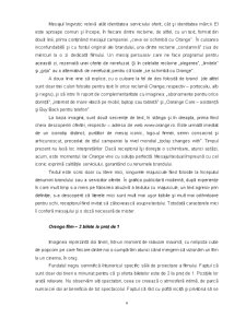 Aplicarea Modelului Semiotic al Lui Roland Barthes - Pagina 4