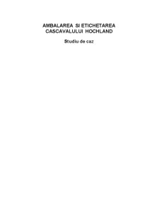 Ambalarea și etichetarea cașcavalului Hochland - Pagina 2