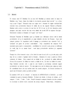 Raport de Cercetare Calitativă Marcă Zaraza - Pagina 3