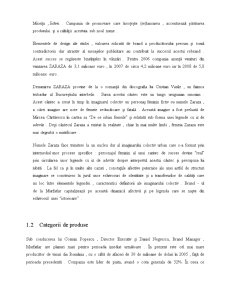 Raport de Cercetare Calitativă Marcă Zaraza - Pagina 4