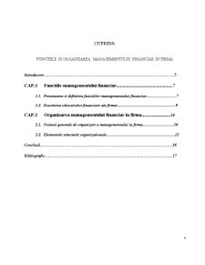 Funcțiile și organizarea managementului financiar în firmă - Pagina 4