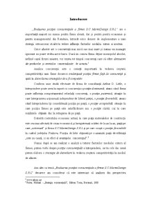 Evaluarea poziției concurențiale a firmei SC Marmidesign SRL - Pagina 3