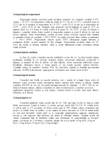 Uleiul Volatil de Coriandru - Pagina 5