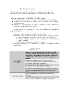 Studiul de Fezabilitate Asupra Firmei SC Mobexpert SA - Pagina 4