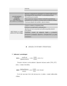Studiul de Fezabilitate Asupra Firmei SC Mobexpert SA - Pagina 5