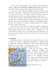 Puterea relațiilor internaționale - studiu de caz Japonia - Pagina 2