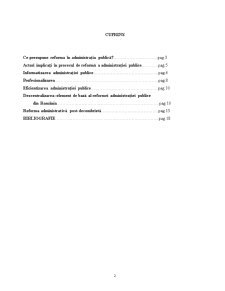 Reforma administrației publice - dimensionări conceptuale - Pagina 2