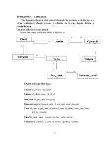 Realizarea unui Sistem Informatic de Gestiune a Cărtilor - Pagina 2
