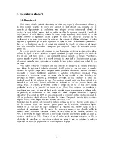 Plan de Afaceri - SC Lactate Capriatis SRL - Pagina 4