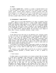 Plan de Afaceri - SC Lactate Capriatis SRL - Pagina 5