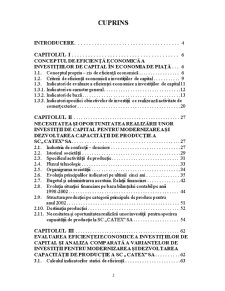 Studiu privind eficiența investițiilor de capital pentru modernizarea și dezvoltarea capacității de producție la SC Catex SA Călărași - Pagina 2
