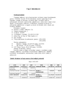 Analiza financiară a întreprinderii Antibiotice SA - Pagina 3