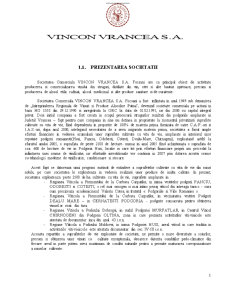 Contabilitatea de gestiune a SC Vincon Vrancea SA Focșani - Pagina 1