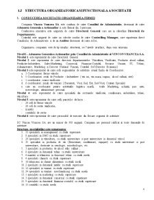 Contabilitatea de gestiune a SC Vincon Vrancea SA Focșani - Pagina 4