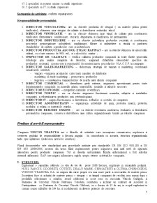 Contabilitatea de gestiune a SC Vincon Vrancea SA Focșani - Pagina 5