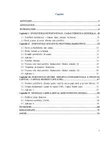 Modelarea Formării Portofoliului Titlurilor Financiare Riscante - Pagina 3