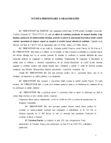 Monografie contabilă - SC Tricotton SA Panciu - Pagina 3