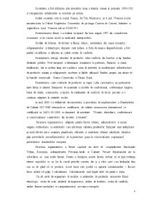 Monografie contabilă - SC Tricotton SA Panciu - Pagina 4