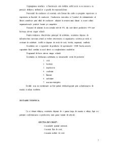 Monografie contabilă - SC Tricotton SA Panciu - Pagina 5