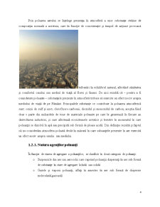 Acțiunea Poluării Aerului Asupra Sănătății - Pagina 4