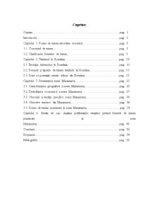 Analiza Preferințelor Turiștilor Privind Formele de Turism Practicate în Zona Maramureș - Pagina 1