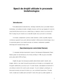 Specii de drojdii utilizate în biotehnologie - Pagina 1