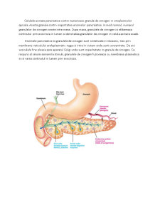 Pancreatită acută - pancreatită cronică - Pagina 2