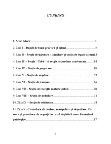 Caiet de practică - fabrica de mezeluri Sergiana Prodimpex SRL - Pagina 2