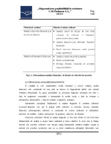Diagnosticarea profitabilității la societatea UM Timișoara SA - Pagina 5