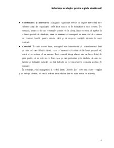 O idee de afaceri în comerț - SC Bubble Eco SRL - Pagina 5