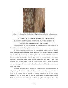 Placă de păr - Pagina 5