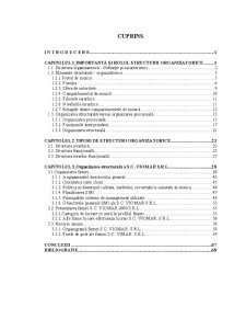 Organizarea structurală a SC Viomar SRL - Pagina 1