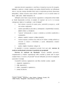 Organizarea structurală a SC Viomar SRL - Pagina 5