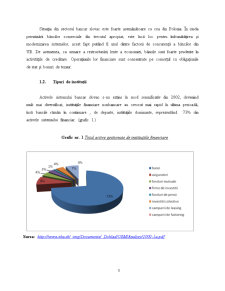 Monografie - Sistemul Bancar din Slovacia - Pagina 5