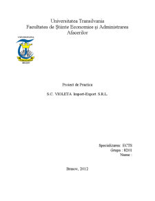 Proiect de practică SC Violeta Import-Export SRL - Pagina 1