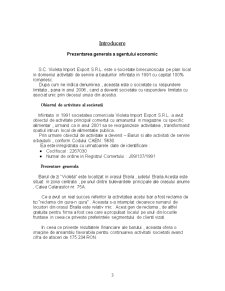 Proiect de practică SC Violeta Import-Export SRL - Pagina 3