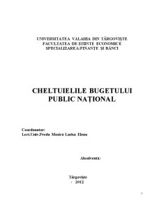Cheltuielile Bugetului Public Național - Pagina 2