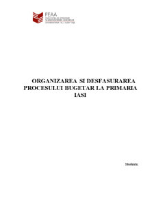 Organizarea și desfășurarea procesului bugetar la Primăria Iași - Pagina 1