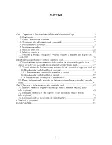 Organizarea și desfășurarea procesului bugetar la Primăria Iași - Pagina 2