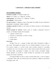 Analiza Activității de Marketing a Societății Comerciale Hochland România - Pagina 3
