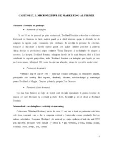 Analiza Activității de Marketing a Societății Comerciale Hochland România - Pagina 5