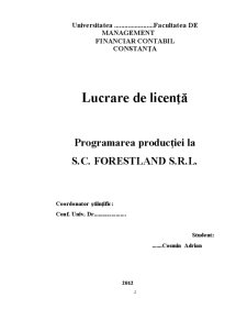 Programarea producției la SC Forestland SRL - Pagina 2
